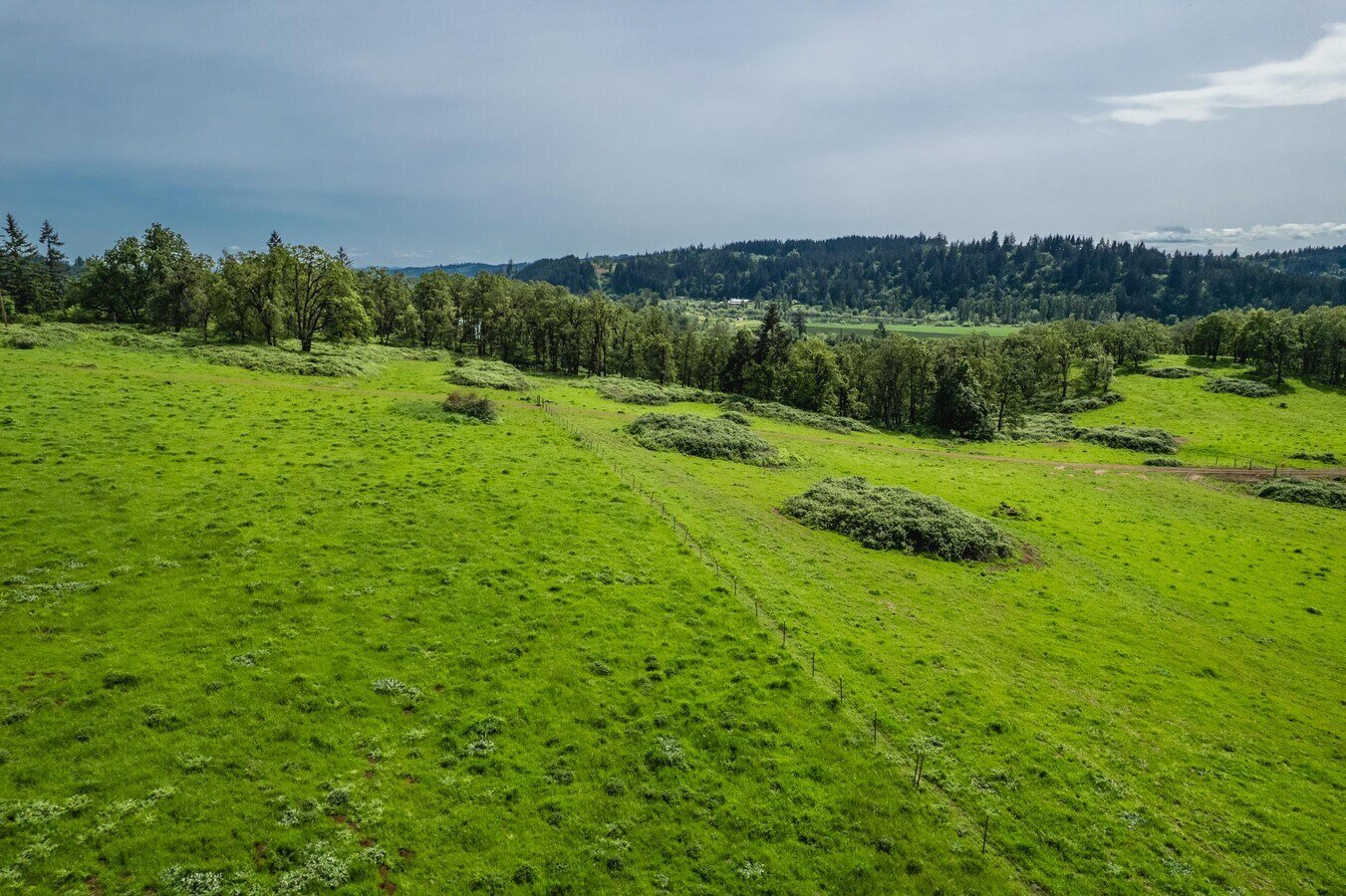Rolling green hillside