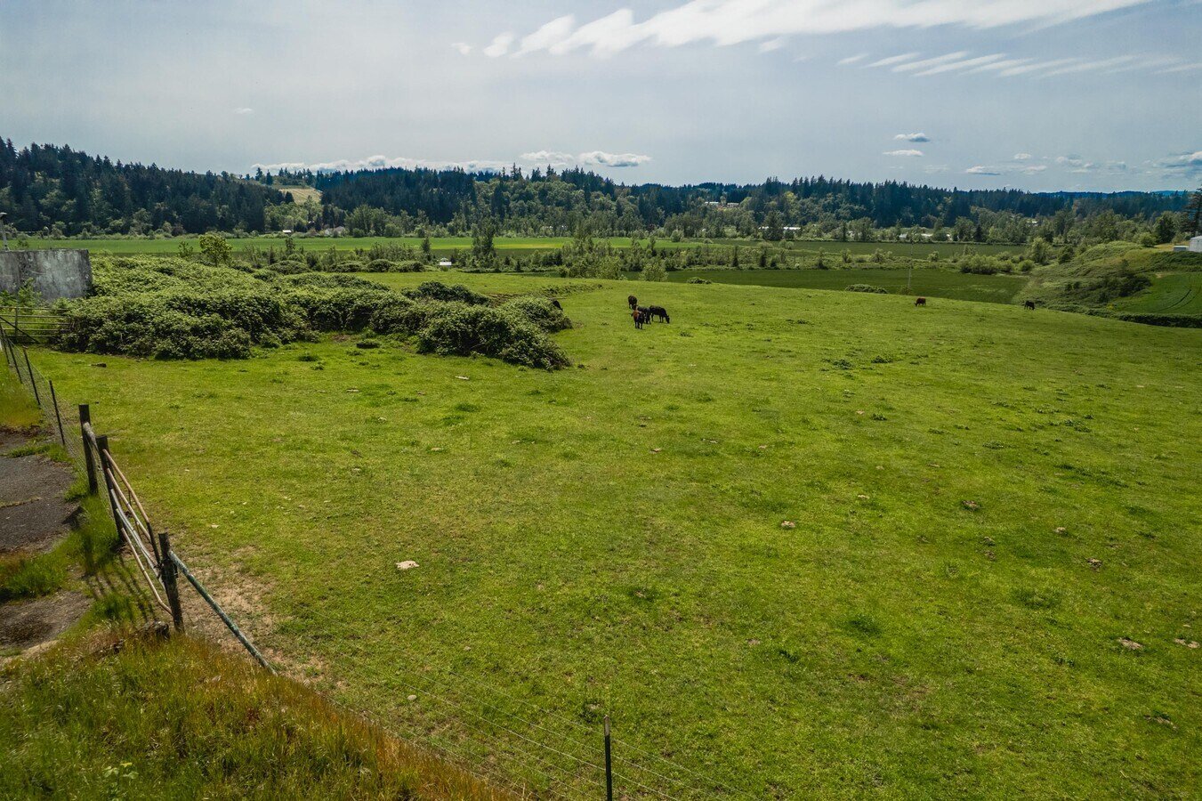 Pasture and valley view