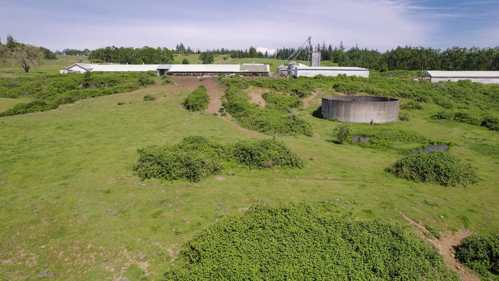 Site structures and terrain